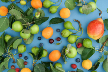 Blog Image