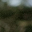 Репетитор - Дмитрий С. id:147815